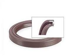 Oil Seals