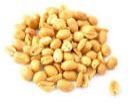 Salty and Roasted Peanuts