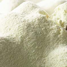 Skimmed Milk Powder