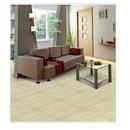 Ivory Vitrified Tiles