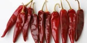 Dried Chillies