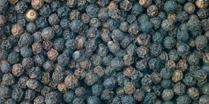 Black Pepper Seeds
