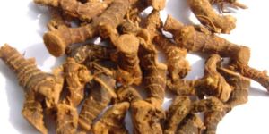 Galangal Root