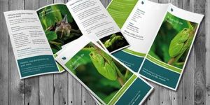 A4 Brochure Offset Printing