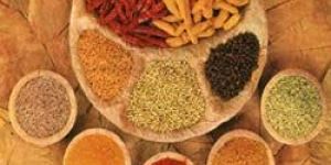 Indian Spices