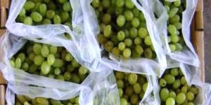 Fresh Green Grapes