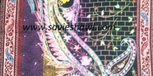 Poly Wool Embroidered Shawls