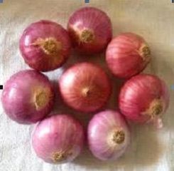 Red Onion