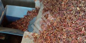 Material Handling Elevator