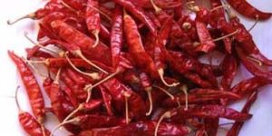 Dried Red Chilli