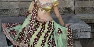 Beige Net Lehenga Saree
