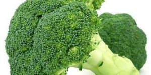 Fresh Broccoli