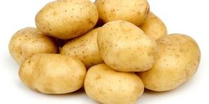 Fresh Potato