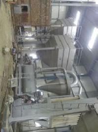 Plaster of Paris Plants