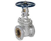 Stainless Steel Valves