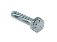 Hex Head Screws