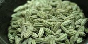 Fennel Seeds