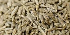 Cumin Seeds