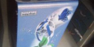 Star Domestic Flour Mill