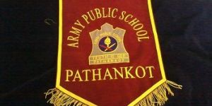 Army Public School Banner Flag