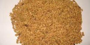 Fenugreek Seeds