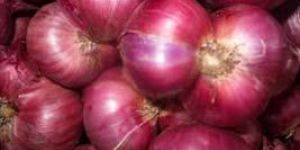 Fresh Red Onion