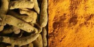Turmeric Powder