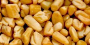 Fenugreek Seeds