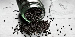 Oil Seeds
