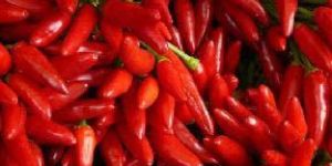 Red Chilli Sauce