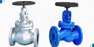 Globe Valve