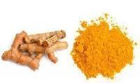 Organic Turmeric Powder