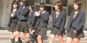 Girls School Uniforms