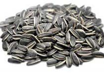 Sunflower Seeds
