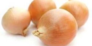 Fresh Bellary Onion