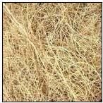Coir Fiber