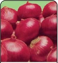 Nasik Red Onion