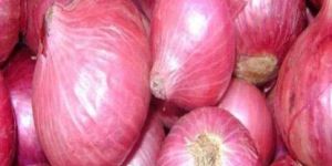 Fresh Rose Onion