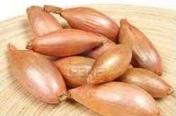 Fresh Shallot
