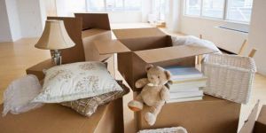 Household Goods Packers and Movers