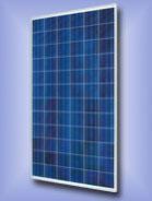 Polycrystalline Solar Module