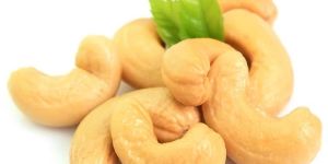 Cashew Nuts