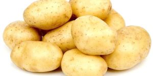 Fresh Potato
