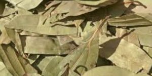 Bay Leaves