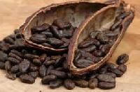 Cocoa Beans