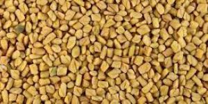Fenugreek Seeds