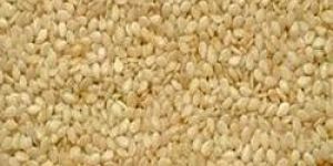 Natural Sesame Seeds