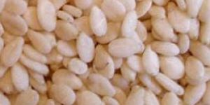 Sesame Seeds