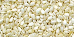 Sortex Sesame Seeds