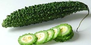 Fresh Bitter Gourd